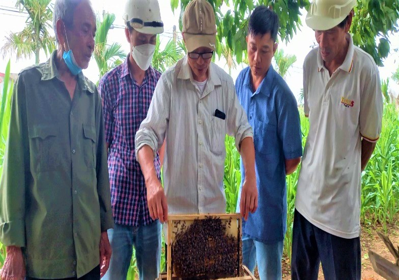 Mô hình nuôi ong mật do Trung tâm CORENACCA thực hiện