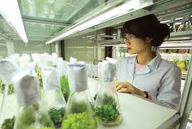 Chuẩn hóa tổ chức, hoạt động Quỹ khoa học, công nghệ và đổi mới sáng tạo từ Trung ương đến địa phương